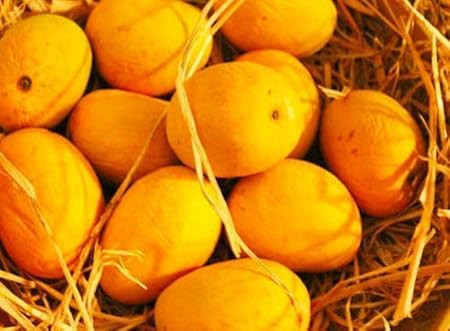Mango